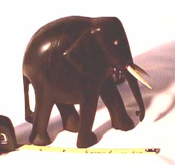 right side view with ruler