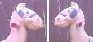 Ya gotta love that face