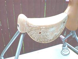 this is where a tail belongs